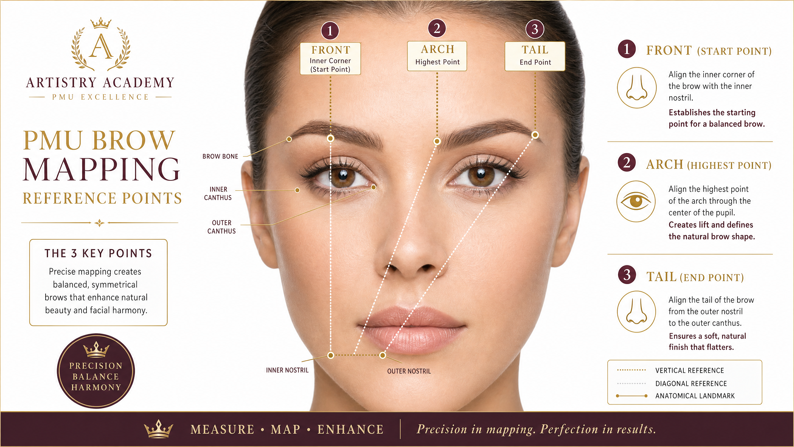 Brow mapping facial landmarks showing front, arch, tail, inner canthus and outer canthus reference points