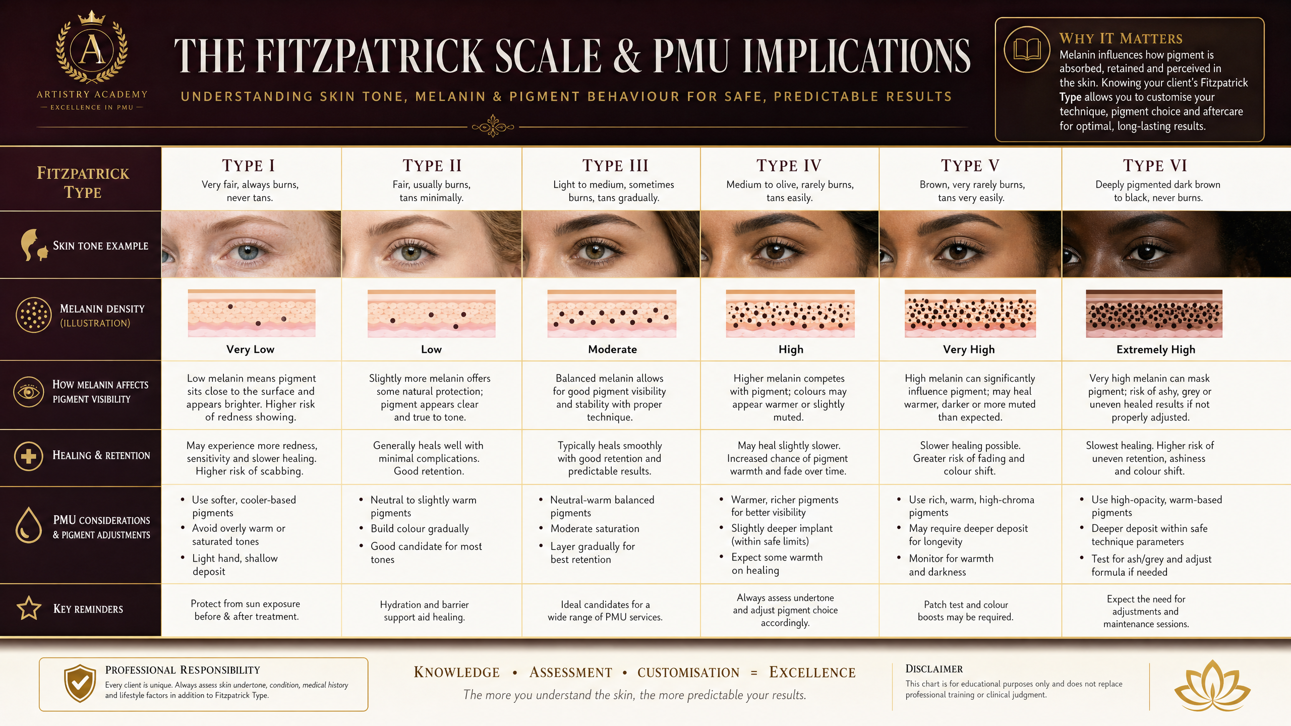 skin anatomy melanin distribution