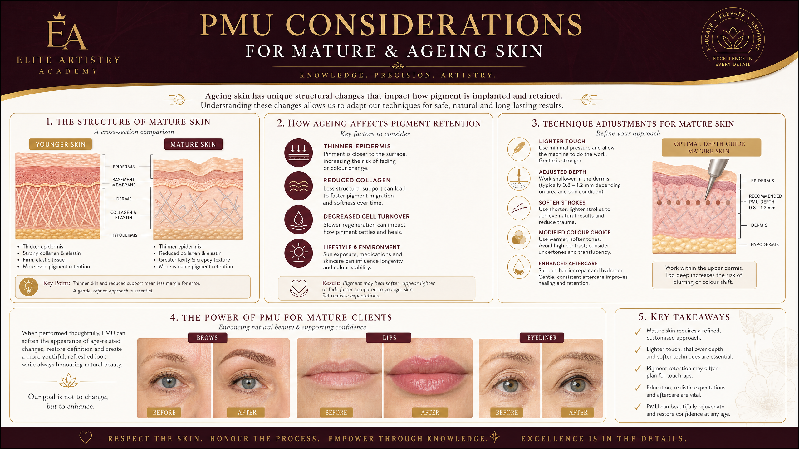 Mature skin PMU considerations showing thinner epidermis and technique adjustments